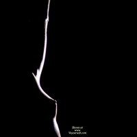 Silhouette