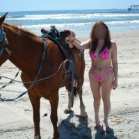 Pic #1The Queen - Colash1