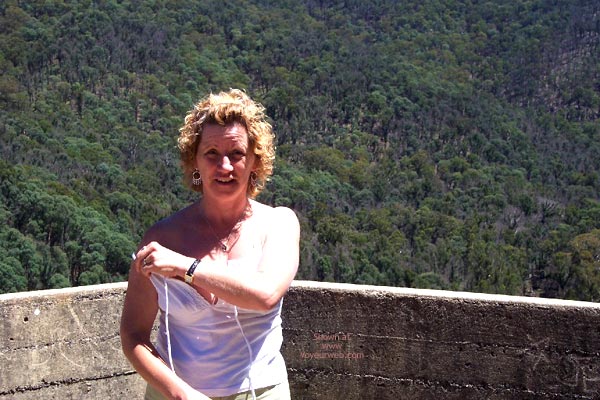 Pic #1Shy Possum At The Dam Lookout