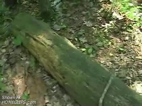 Pic #1*SO Cumslut: Cumfilled Compilation Of Outdoor Fun