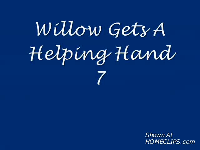 Pic #1*OS&nbsp;Willow Favorite Toy