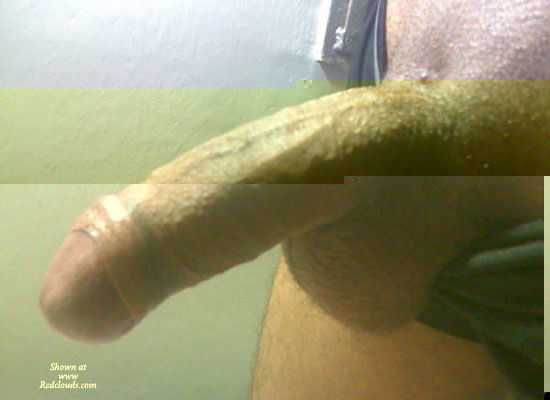 Pic #1Yonky