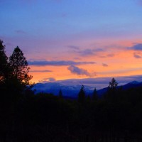 Pic #1Laifong Hunting Buck Naked