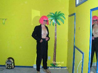 Pic #1Fun Disguise