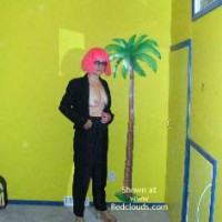 Pic #1Fun Disguise