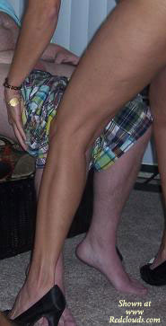 Pic #1Fantasy Fulfilled 3