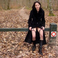 En Attendant Le Printemps 2