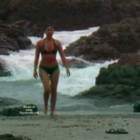 A Cutie On The Beach