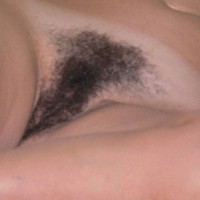 Pic #1Unshaved To Shaved