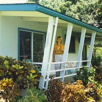 Pic #1Big D In Hawaii