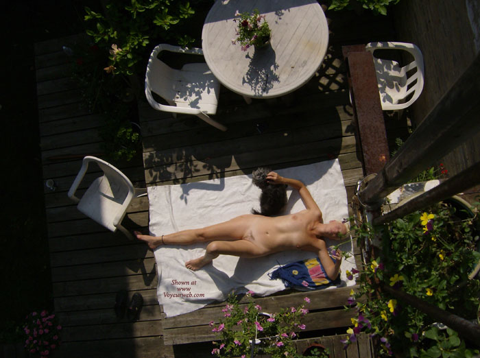 Pic #1Downtown Toronto Backyard