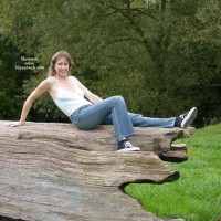 Louise's Fallen Tree 1