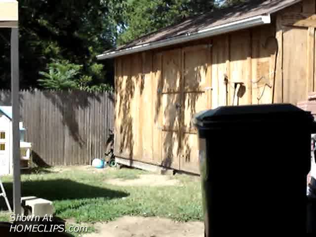 Pic #1M* Naked In Backyard.