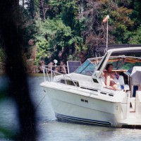 Pic #1What I Saw