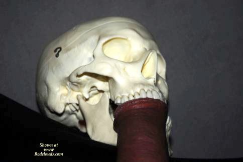 Pic #1Don&#39;t Wait Too Long