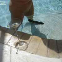 Pic #1Labor Day Weekend Part 1