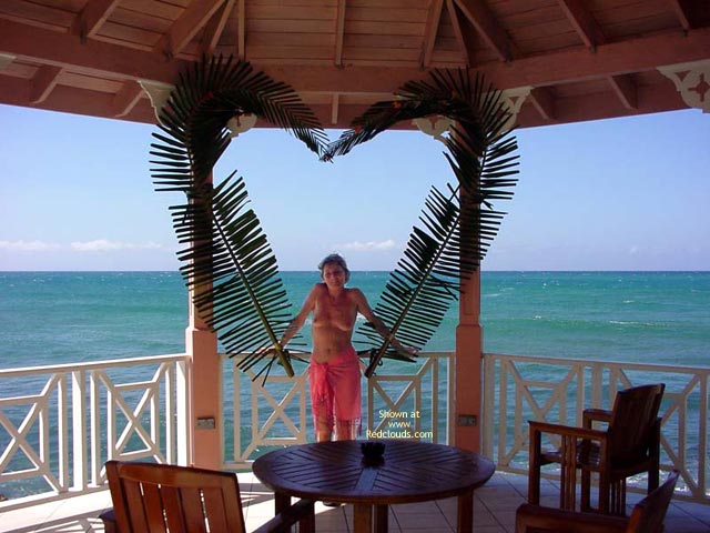 Pic #1Hedo Iii