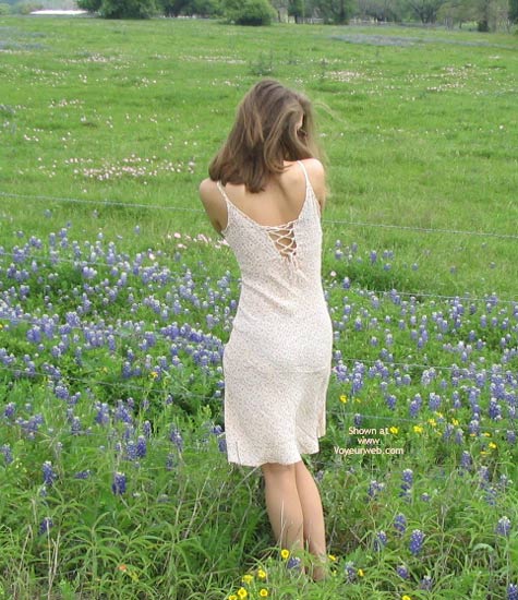 Pic #1Robin'S Bluebonnet Flash