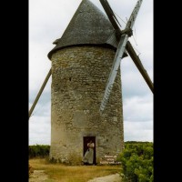 Pic #1Im Weinbaugebiet Von Frankreich