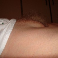 Pic #1 Blonde Bush And Mound 2