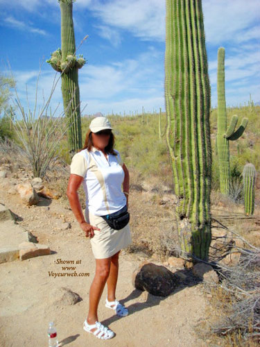 Pic #1Desert Heat
