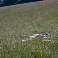 Pic #1 Hot Summers Day