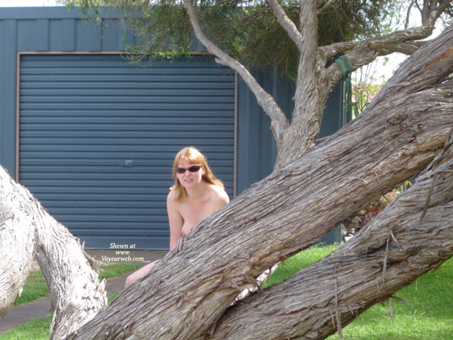 Pic #1 Nic's Tree