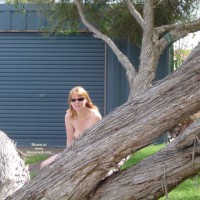 Nic's Tree