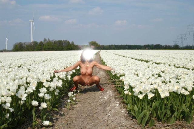 Pic #1Flowerfields 2
