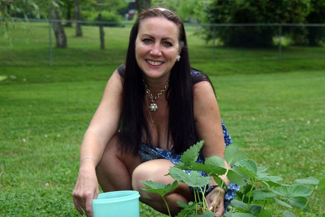 Pic #1Little T Picking Strawberries