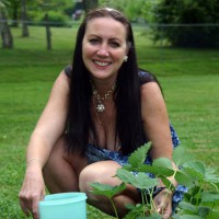 Little T Picking Strawberries