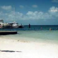 Pic #1 Wife Topless Underwater