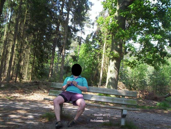 Pic #1M* Parc And Forest