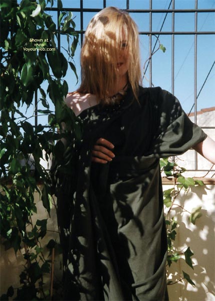 Pic #1Sunflower In And Out Of A Toga