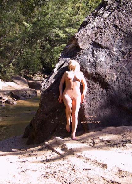 Pic #1Rose Prefers Full Sunlight