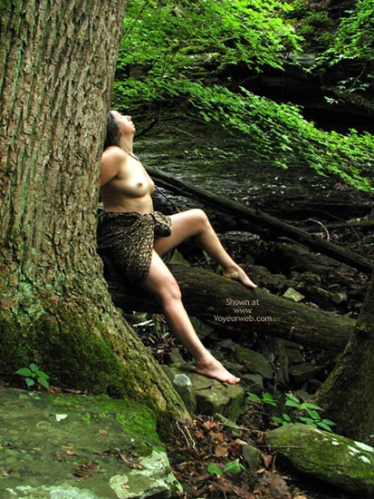 Pic #1Plantspirit And The Waterfalls