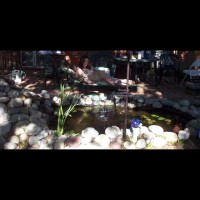 Pic #1Myssa Goes Outside