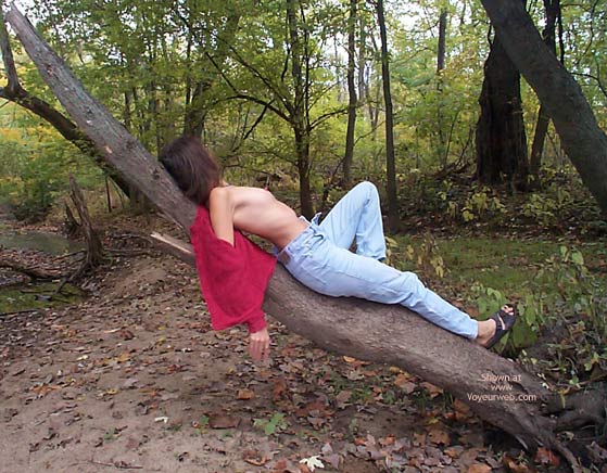 Pic #1Lara Seasons In The Sun