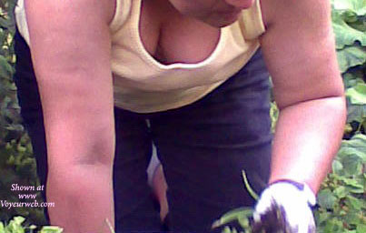 Pic #1My Neighbour In The Garden