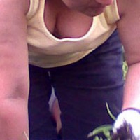 Pic #1 My Neighbour In The Garden