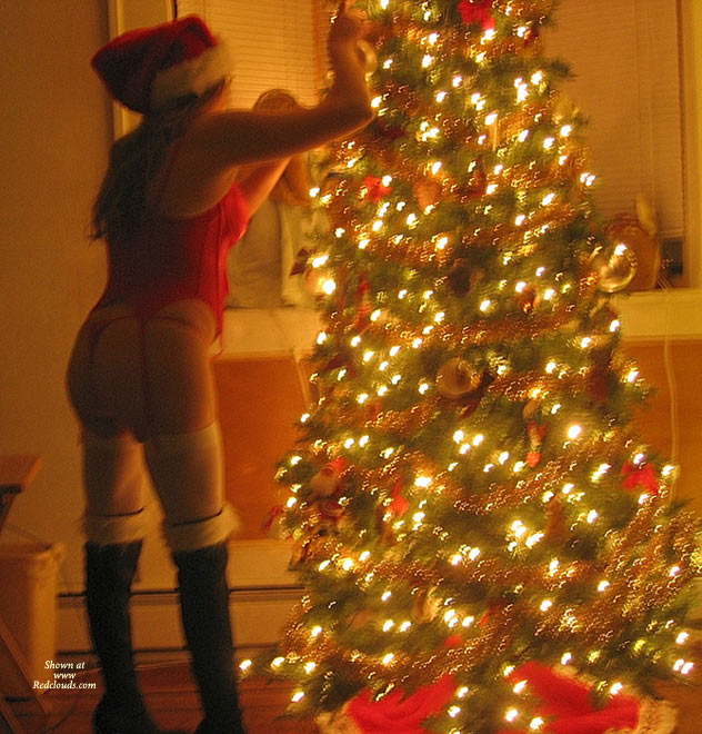 Pic #1Bambi's Merry Christmas