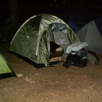 Pic #1 Thongs Mix Photos