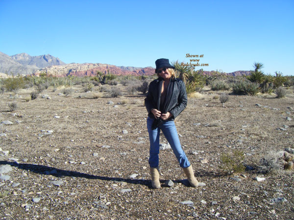 Pic #1Vegas Mountains