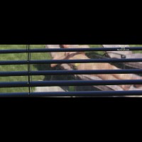 Sxygrl27 Laying Out