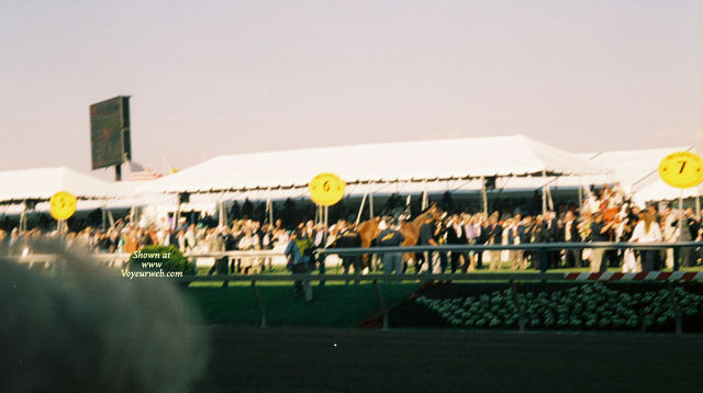 Pic #1 In Memory Of Barbaro Ii