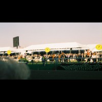 In Memory Of Barbaro Ii