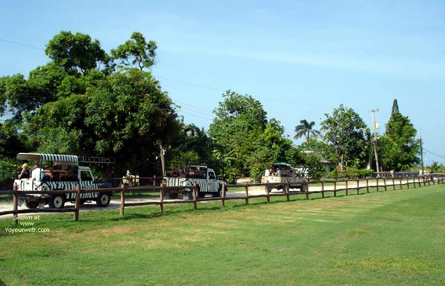 Pic #1 Missmscle Jamaica Way