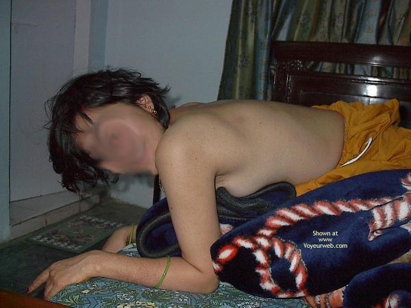 Pic #1My Petite Wife