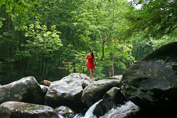 Pic #1Little T In The Mountians