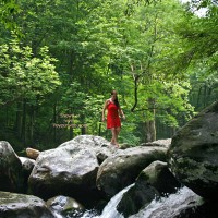 Pic #1Little T In The Mountians